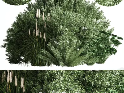 Bush05 shrubs and grasses - shrubs and grasses 3D model