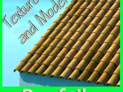 Tile Roof Dirty 3D model