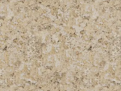 Damaged Plaster Wall - 6 Texture