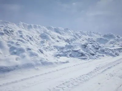 Big Snow collection  2022  Low-poly 3D model