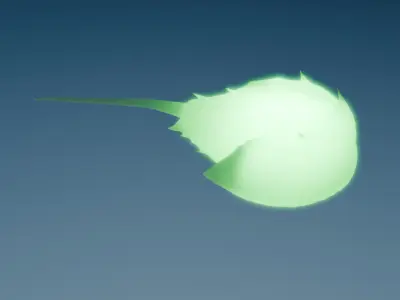 Indirect lighting of living fossils 3D model