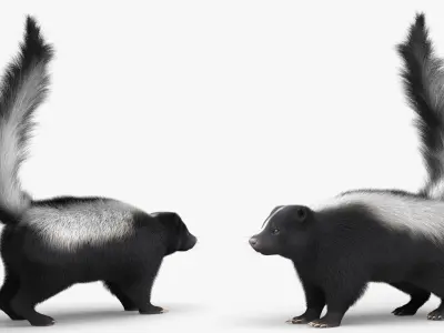  Striped Skunk Wild Animal Walk Fur Animated Rigged For Blender 