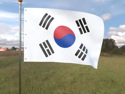 Flag South Korea animated loop 3D model