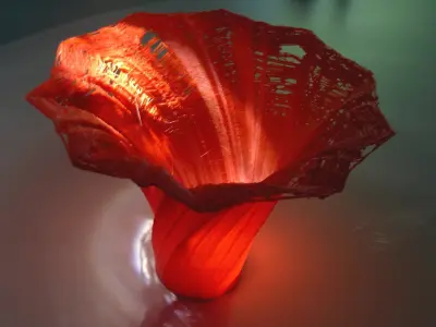 Double Twisted Hexagonal Vase Nightlight 3D print model