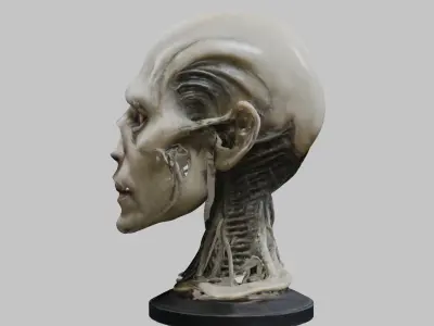 Detailed 3D Head Model HR Giger Man  Low-poly 3D model