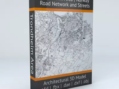 Trondheim Area Road Network and Streets 3D model