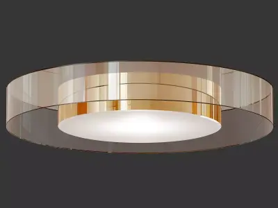 Constellation Outdoor LED Ceiling Light 3D model