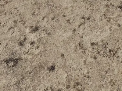 Dried Mud Plaster with Dark Patches Texture