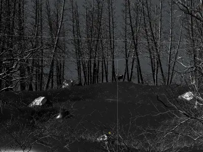 Winter Lake Low-poly 3D model