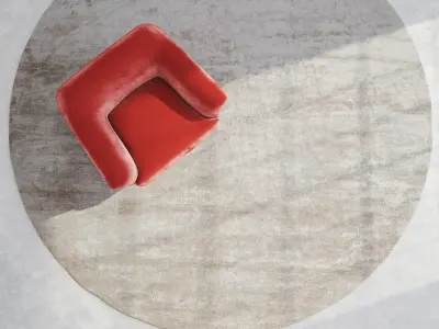 Thaila Plain G077 Rug 3D model