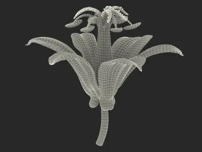  Floral Plants Collection 3 