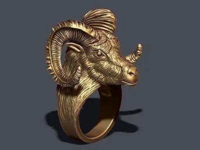 aries ring 3D print model