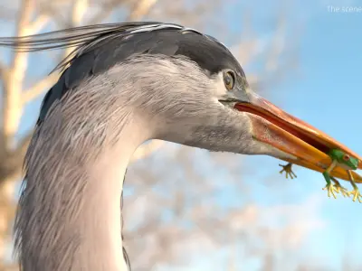  Predatory Heron with Frog For Blender 