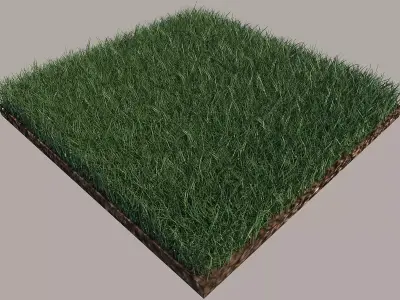 Grass and gravel 3D model
