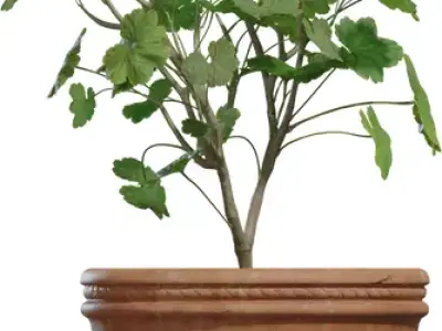 Potted Balcony Geranium Low-poly 3D model