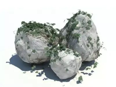 Large Boulders Covered In Vines 3D model