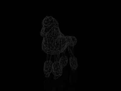 Poodle Wireframe Low-poly 3D model