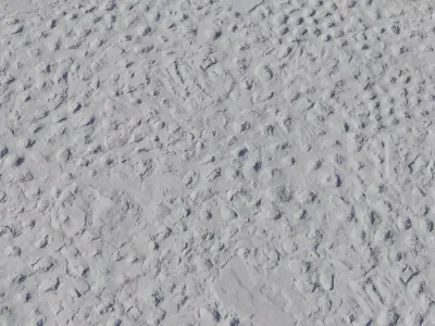 Compact Dirt With Embedded Stones Texture