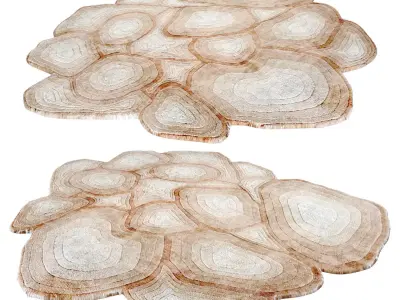 Apricot Caliedo Rug 3D model