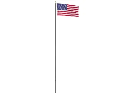 USA Flag on High Flagpole 3D model