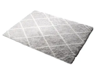 Rug Shaggy 200-150 3D model