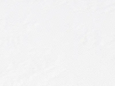 Sao Paulo Brazil City Landscape 3D Model 3D model