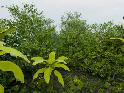 REALISTIC JUNGLE ENVIRONMENT 3D model