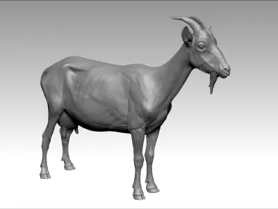  Goat Realistic 