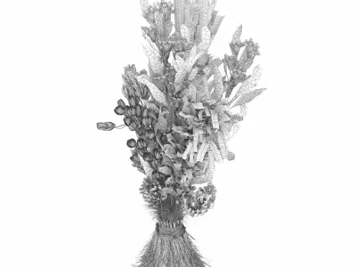 Collection plant vol 74