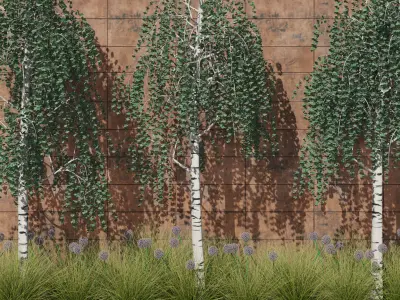 Modern flowerbed with Birches 3D model