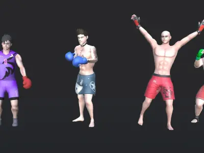 Boxing Animations Low-poly 3D model