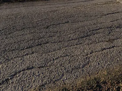 scanroadcampo01fs 3D model