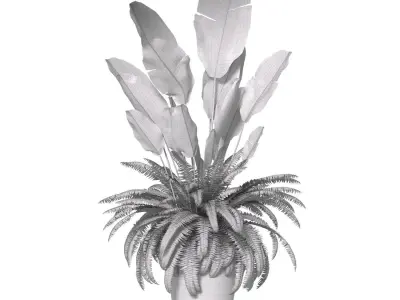 Fern in a pot 3D model