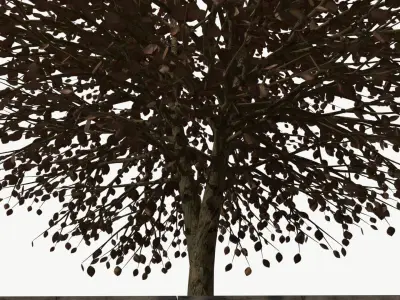 URBAN Autumn TREE Free 3D model