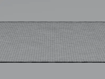 Oriental-style national carpet made of silk for Interior  3D model