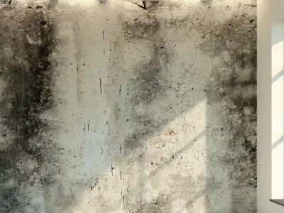 Concrete wall Old concrete 10 Texture