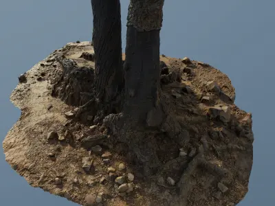 treeroots01 island with tree 3D model