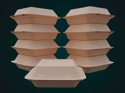 Cardboard Disposable - Food Container 3D model