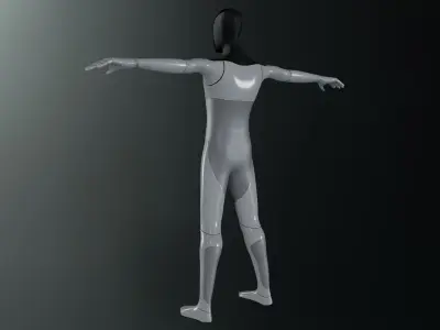 Tesla BOT Low-poly 3D model