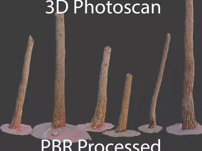 PBR Pine Tree Trunk Scan Set collection Low-poly 3D model