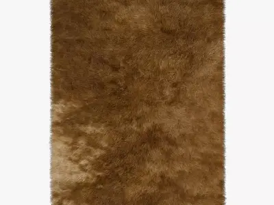 Carpet Rainbow Gold 3D model