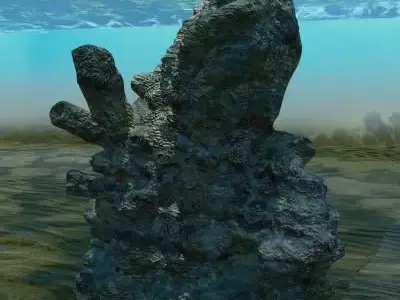 Coral Large 3D model