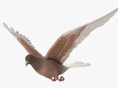  Lowpoly Ferals Dove Flying Position Brown 