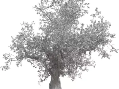 Photorealistic Ancient Old Tree 3D Model  Low-poly 3D model