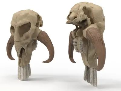 Mandalorian scull Mythosaur Skull low poly and hi poly model 3D model