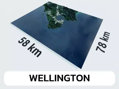 Wellington New Zealand City Landscape 3D Model 3D model