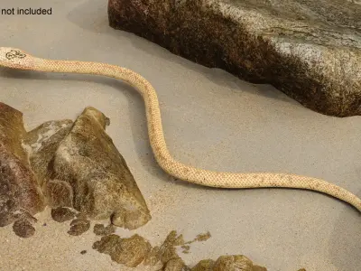  Light Skin Cobra Attack Animated Rigged 