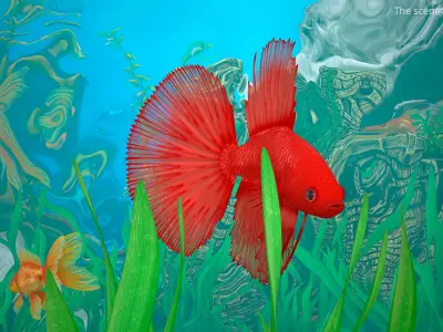  Red Crowntail Betta Fish Swimming Animated Rigged for Cinema 4D 