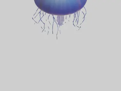 Jellyfish floating model Low-poly 3D model