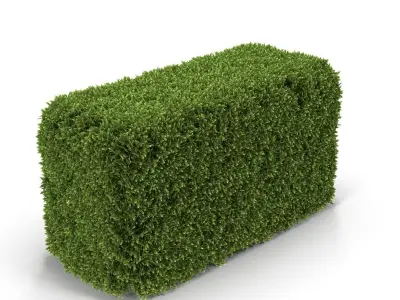 Hedge Box 3D model